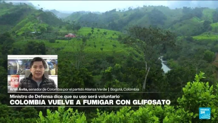 Ariel Ávila: "El Gobierno de Colombia tiene que esforzarse para una erradicación manual de la coca"