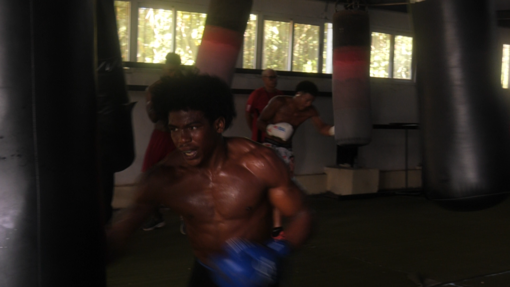 El box cubano pelea por su futuro entre la nostalgia y la esperanza