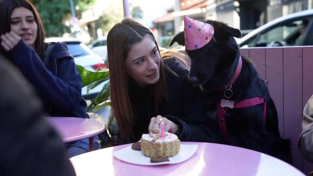 ¿Perros o niños? En Buenos Aires, las familias optan por las mascotas…
