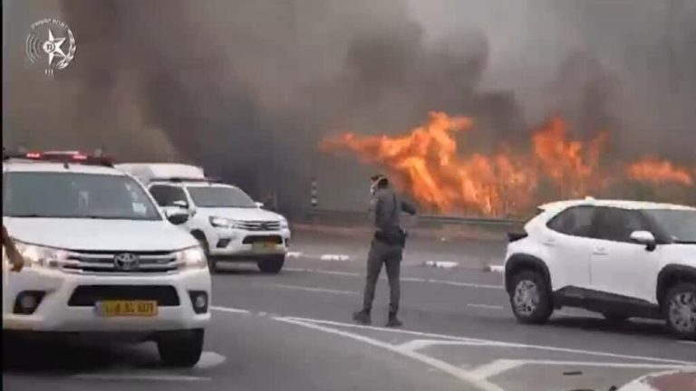Israel acusa a Territorios Palestinos de provocar los incendios forestales en Jerusalén