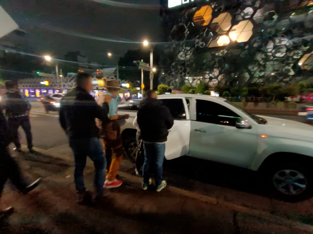 Detienen a hombre por robo de 40 tortugas casquito