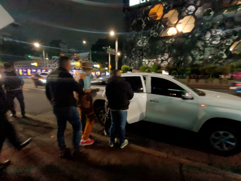 Detienen a hombre por robo de 40 tortugas casquito