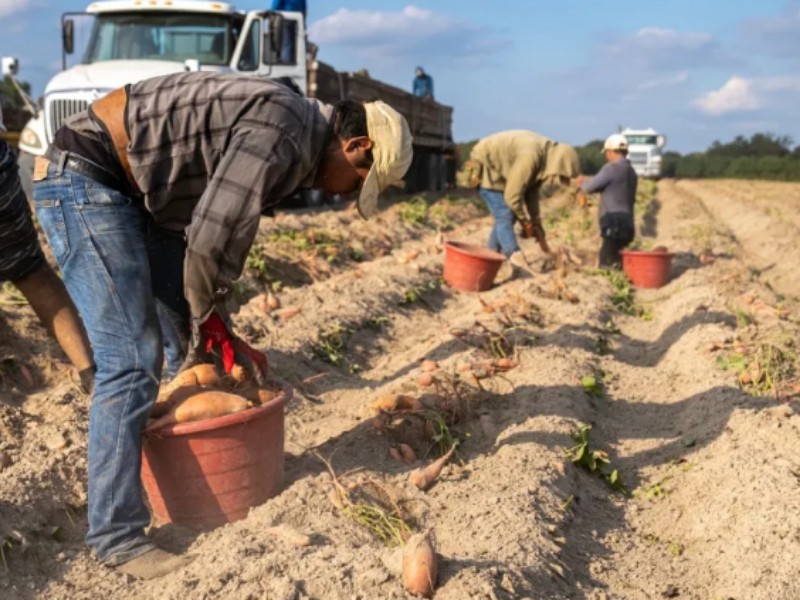 La importancia de los migrantes mexicanos para la economía estadounidense