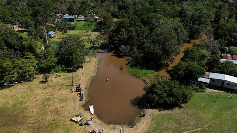 La deforestación en la Amazonía brasileña repunta al 92% e interrumpe su caída