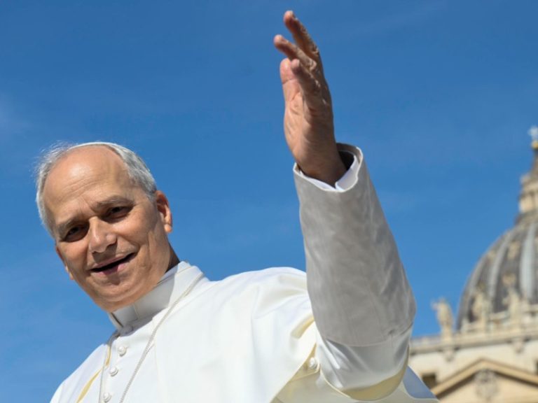 "La paz volverá si dejamos de actuar como predadores": León XIV